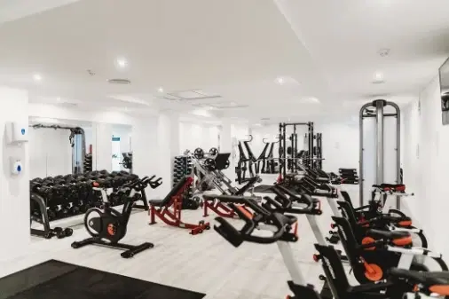 Gym & Fitness